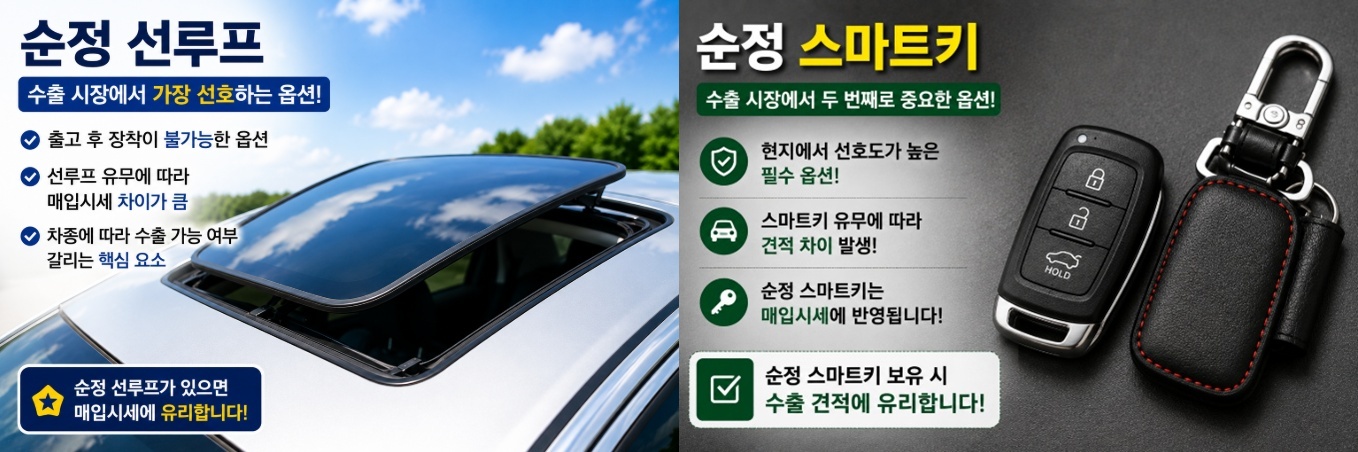 중고차수출선호옵션
